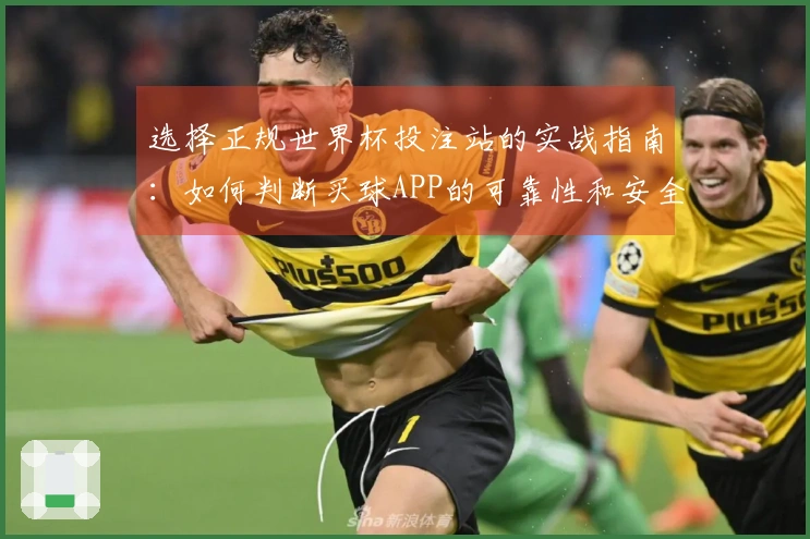 选择正规世界杯投注站的实战指南：如何判断买球APP的可靠性和安全性