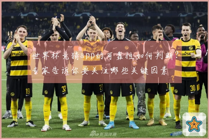 世界杯竞猜app的可靠性如何判断?专家告诉你要关注哪些关键因素