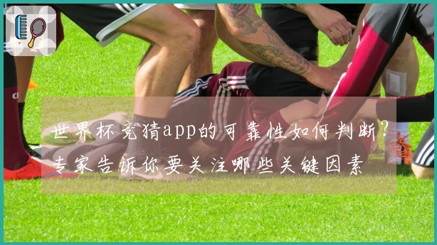 世界杯竞猜app的可靠性如何判断？专家告诉你要关注哪些关键因素
