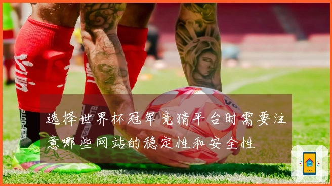 选择世界杯冠军竞猜平台时需要注意哪些网站的稳定性和安全性