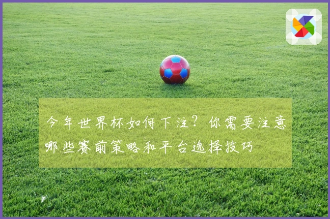 今年世界杯如何下注？你需要注意哪些赛前策略和平台选择技巧